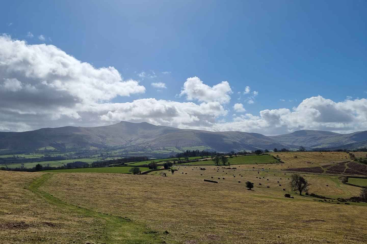 カーディフ発：ブレコン滝巡りハイキングツアー