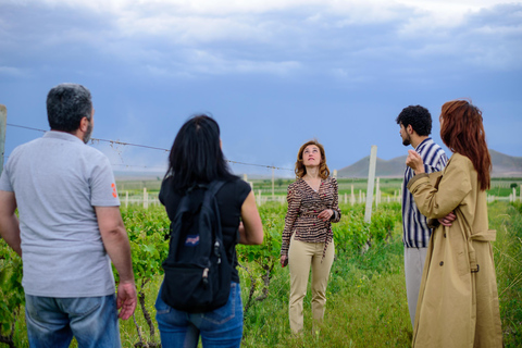 Yerevan: Wine Tasting and Vineyard Lunch at Voskeni Winery