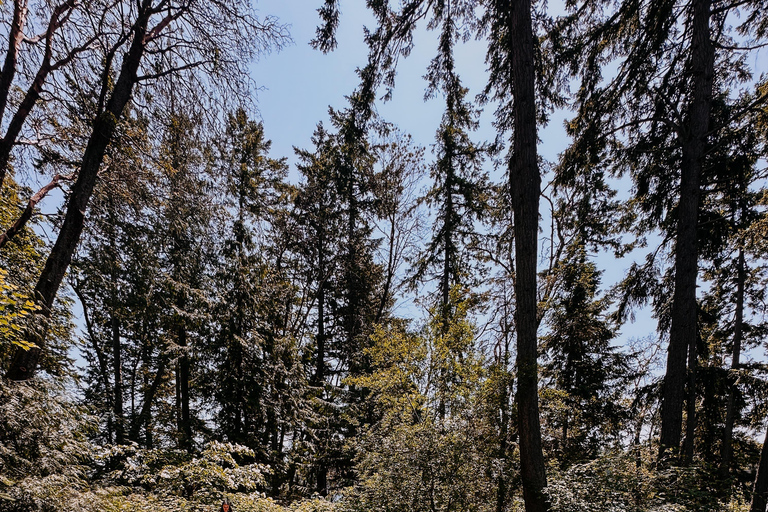 Bainbridge Island Discovery and Whiskey Tour Private Bainbridge Island Discovery and Whiskey Tour