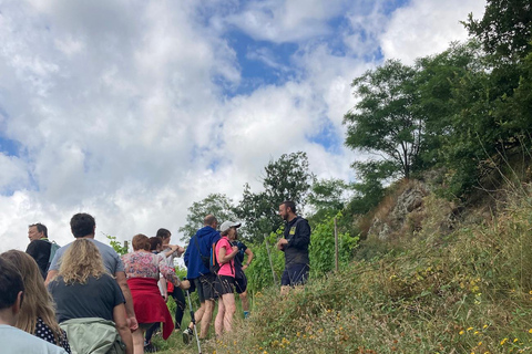 Senderismo y vino entre Côte-Rôtie y Condrieu