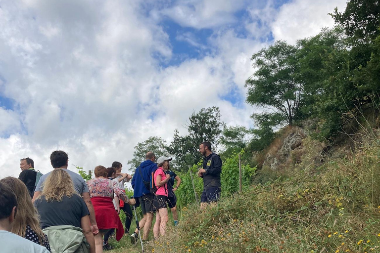 Senderismo y vino entre Côte-Rôtie y Condrieu