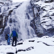 Bodø : randonnée en raquettes à Valnesfossen et visite de Saltstraumen