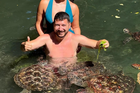 ZANZIBAR: Sea Turtle Swimming & Feeding Experience in NUNGWI