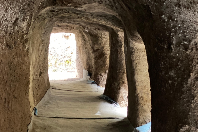Excursión de un día a la iglesia rupestre de Adadi y al yacimiento arqueológico de Tiya