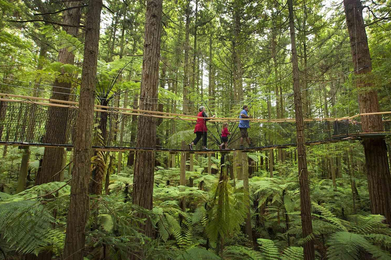 Auckland: tour por las aguas termales de Wai Ariki y los bosques de secuoya de RotoruaAuckland: Wai Ariki Hot Springs &amp; Rotorua Redwoods Tour