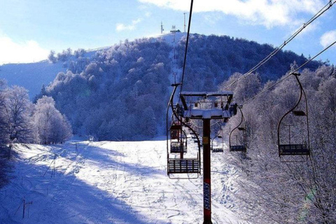 From Tbilisi: Borjomi and Bakuriani Ski resort Day Trip ❄️☃️