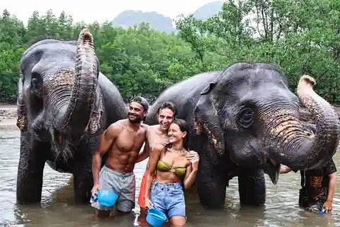 Krabi: Highlights Tour with Krabi Elephant Shelter