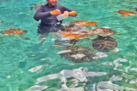 Zanzibar: Jozani Forest, Salaam & Maalum Caves and Sunset