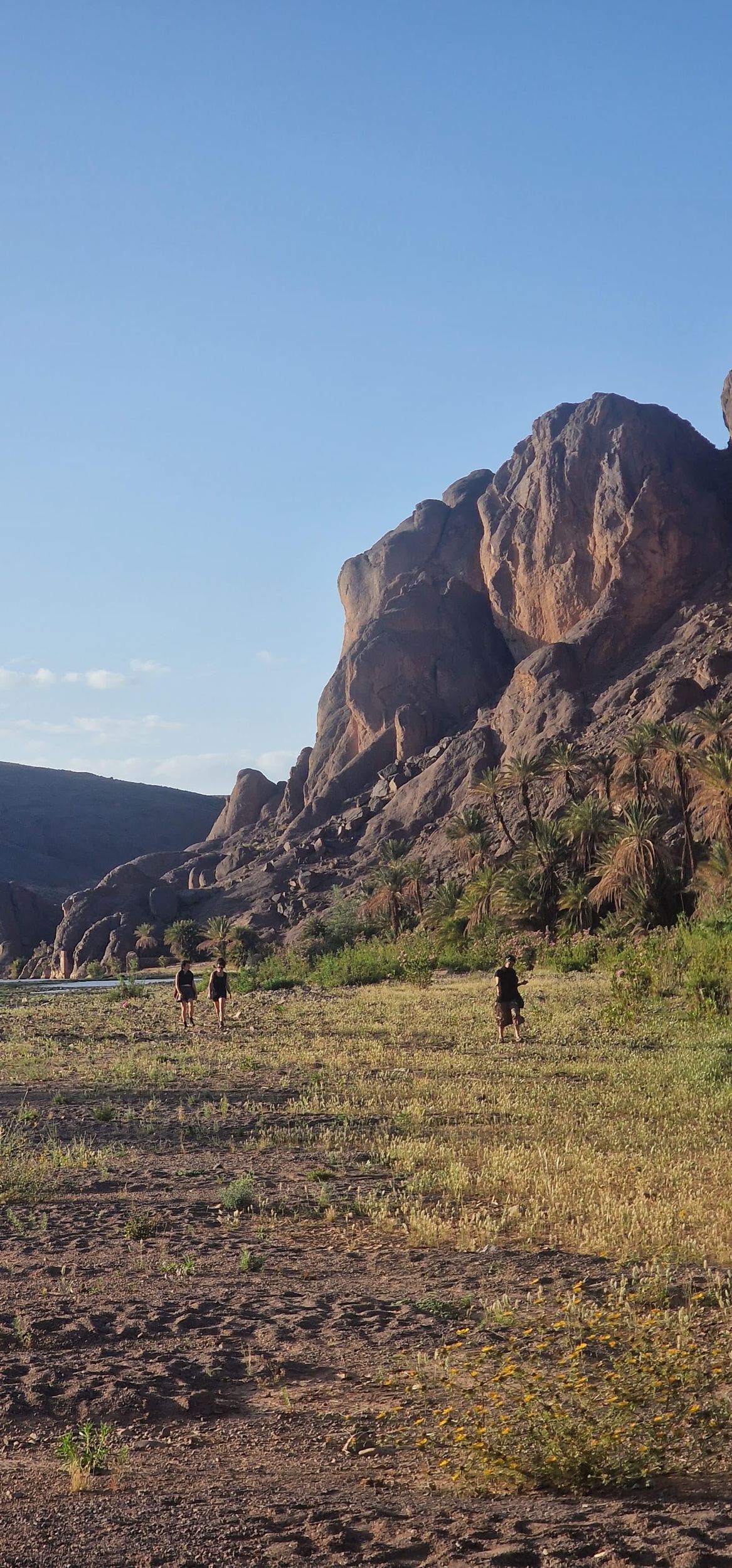 Kasbah von Ait Ben Haddou, Filmstudios und die Fint-Oase