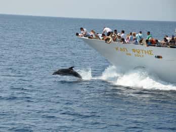 Ouranoupoli: Athos berg 3 uur rondleiding