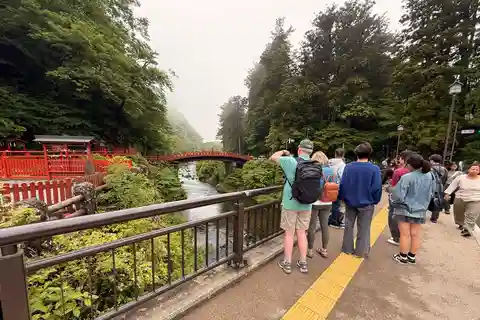 Tokyo: tour di un giorno a Nikko con autista che parla inglese