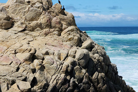 Los Angeles: 4-tägige VIP Tour nach San Francisco &amp; YosemiteEinzelzimmer