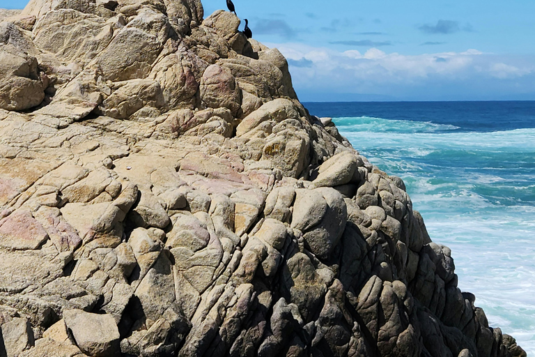 Los Angeles: 4-tägige VIP Tour nach San Francisco &amp; YosemiteEinzelzimmer