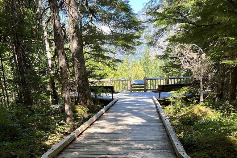 From Seattle: North Cascades National Park Day Tour