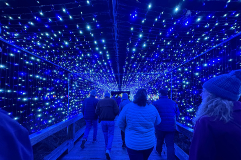 Derry, NH: LaBelle Lights Holiday Light Show Entry Ticket