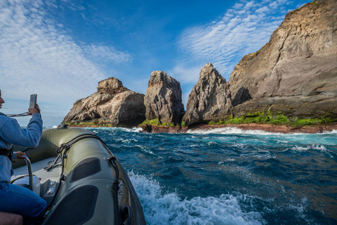 圣米格尔岛：火山奇观、洞穴与历史游船之旅