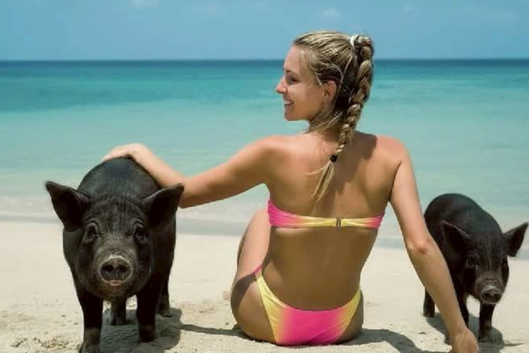 Koh Samui: Viewpoint, Elephant, Pig Island & Snorkel + Lunch Viewpoint, Elephant, Snorkeling, Pig Island+Lunch