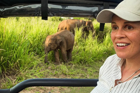 From Sigiriya: Hurulu Eco Park Sunset Jeep Safari