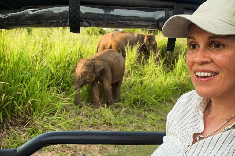 From Sigiriya: Hurulu Eco Park Sunset Jeep Safari