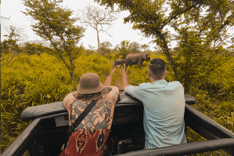 Habarana: Safari di mezza giornata all&#039;Hurulu Eco Park con servizio di prelievo in hotel