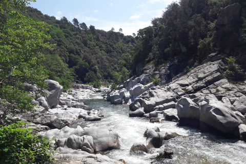 Excursion d&#039;une journée depuis Nîmes vers les Cévennes, montagnes classées au patrimoine mondial de l&#039;UNESCOExcursion d&#039;une journée dans les terres préservées des Cévennes