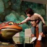 San Diego: biglietto per il Museo di storia naturale