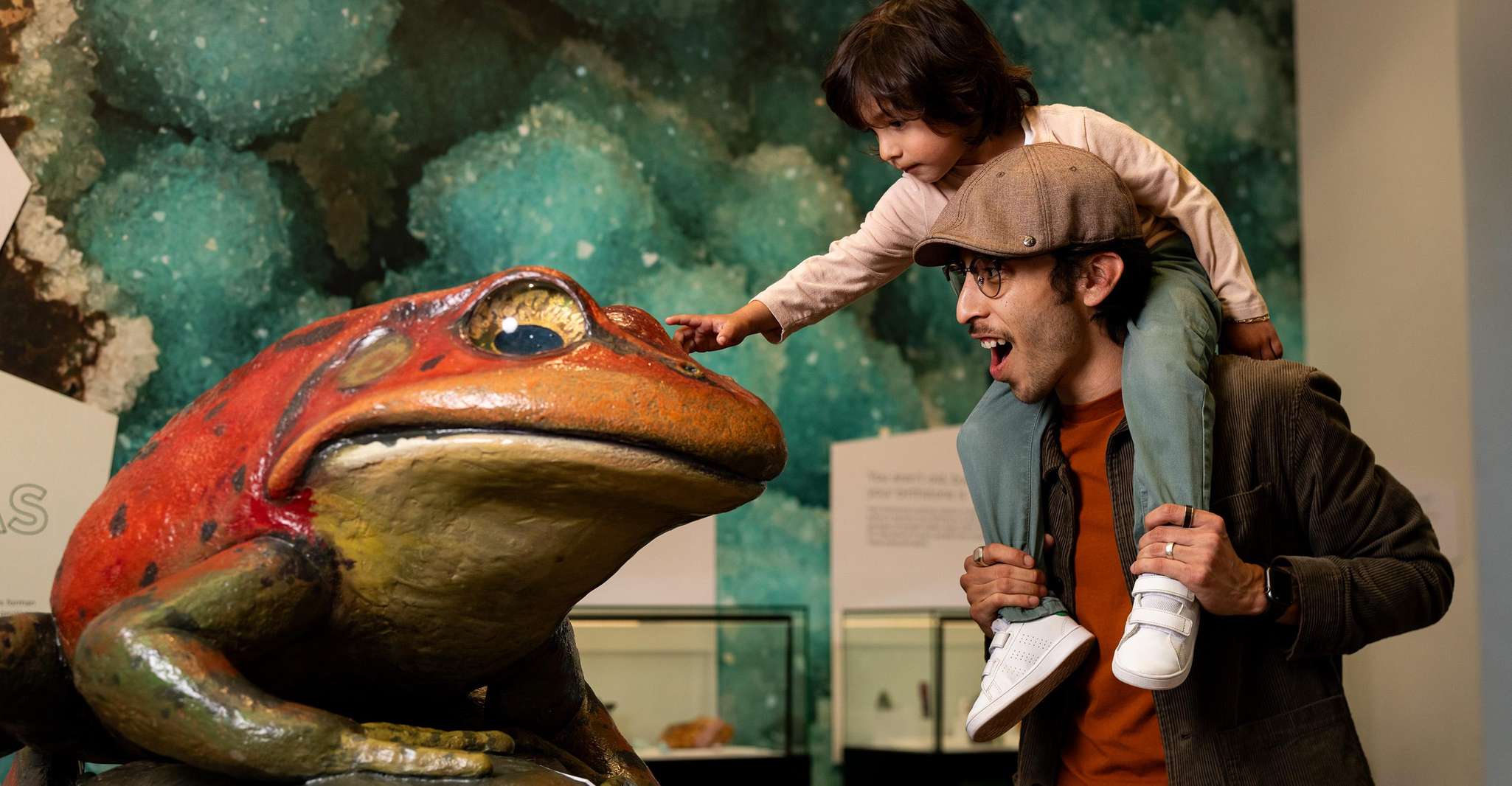 San Diego: San Diego Natural History Museum Ticket