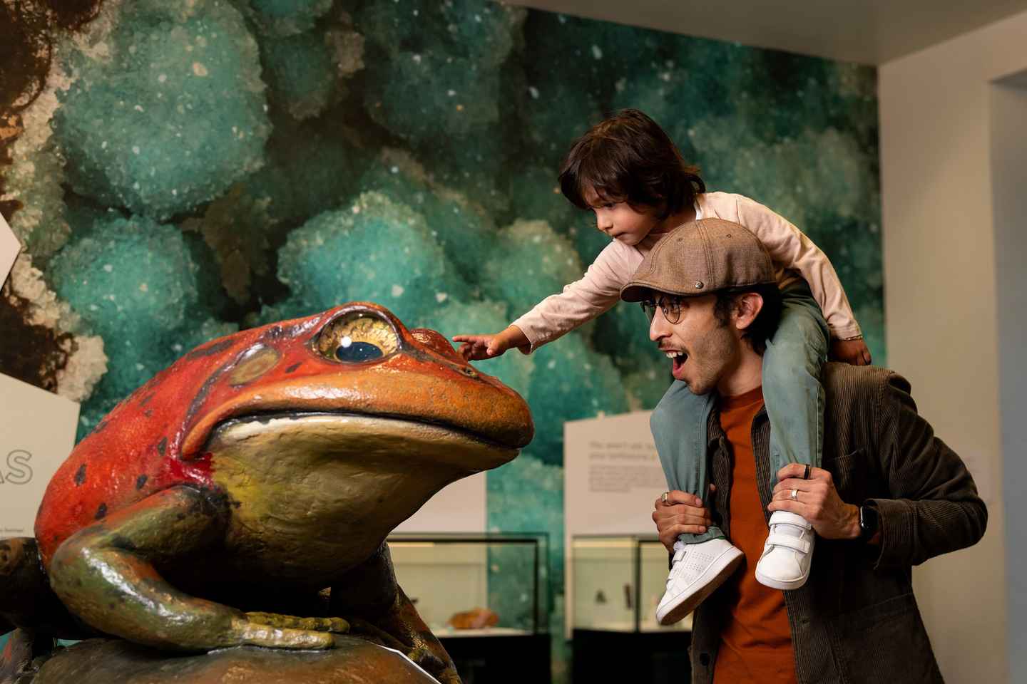 explore the halls of san diego natural history museum