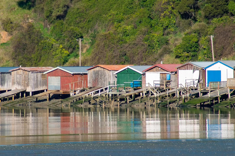 Lyttelton: Akaroa including The Giants House Shore Excursion Small Group Shore Excursion: Akaroa, from Lyttelton