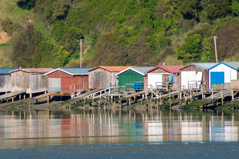 Lyttelton: Akaroa including The Giants House Shore Excursion Small Group Shore Excursion: Akaroa, from Lyttelton