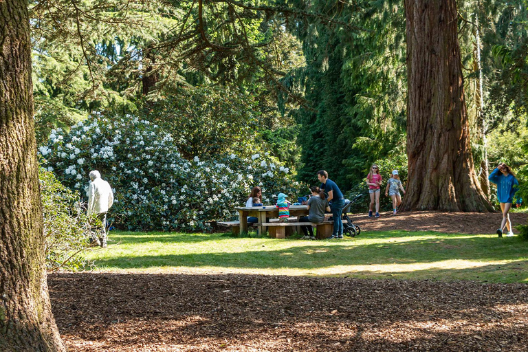 Oxford: toegangsbewijs Harcourt Arboretum