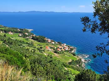 Dubrovnik privé wijnproeverij tour naar Peljesac