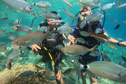 Marmaris: Beginner-Friendly Scuba Diving Tour & Lunch Scuba Diving With Hotel Transfer