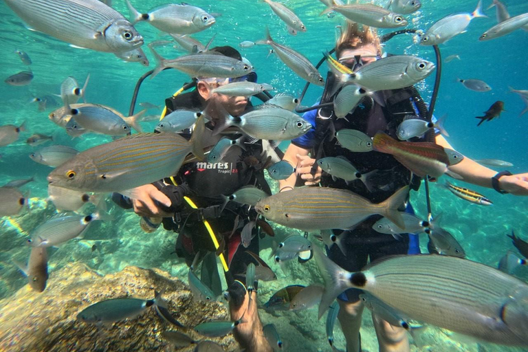 Marmaris: Beginner-Friendly Scuba Diving Tour & Lunch Scuba Diving With Hotel Transfer