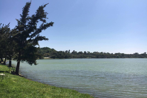 From Addis Ababa: visit Lake Bishoftu &Hora