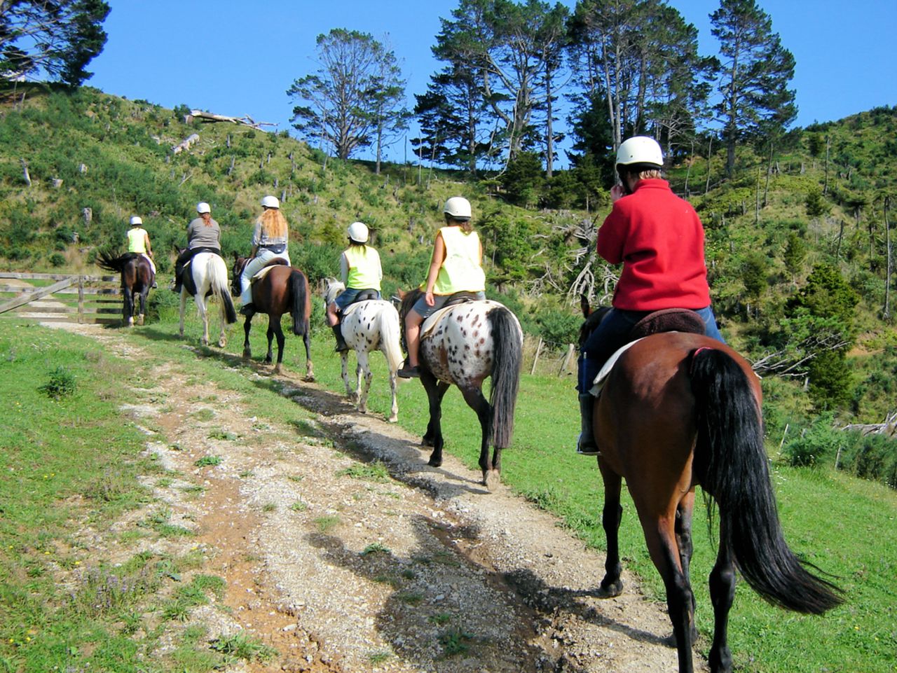 Reiten, Weinverkostung & Kunstpfad Private Tour