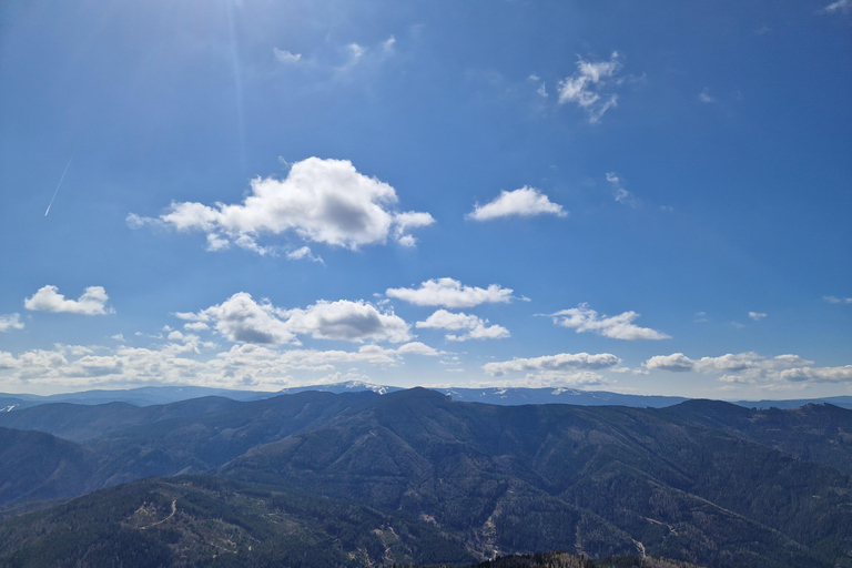 Vienna: Relaxed Alpine Experience with Guide and Transfer