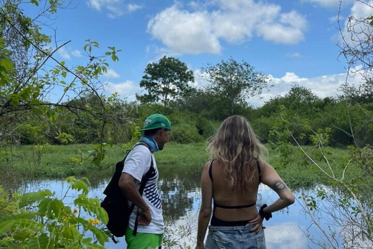 Galápagos : tortues géantes, tunnels de lave et cratèresGalápagos : visite guidée des tortues géantes, des tunnels de lave et des cratères