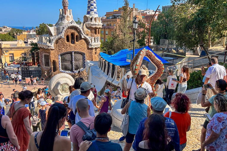Barcelona: Park Güell Guided Tour with Skip the Line Ticket Spanish Tour