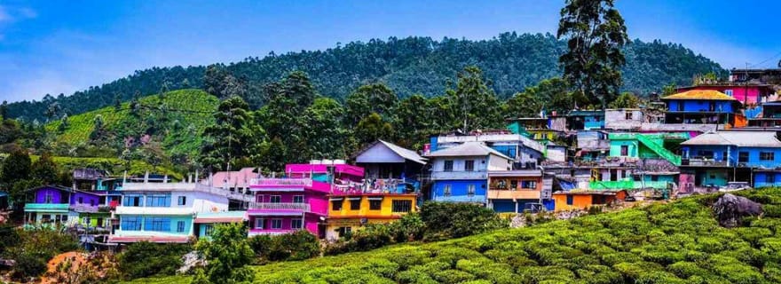 Kochi : -08 jours- Visite des magnifiques backwaters et plages du Kerala