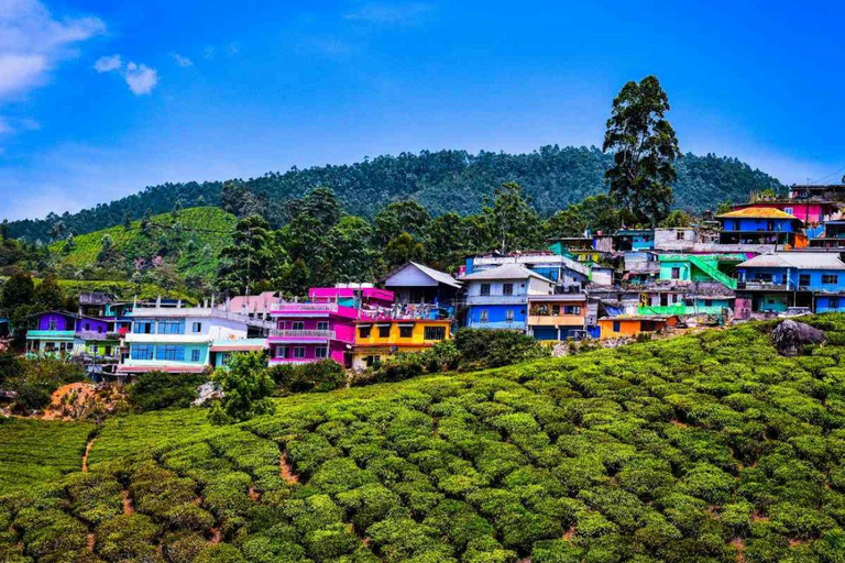 From Kochi:- 02- Days Munnar Hill Station Guided Tour