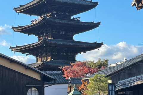 Kyoto Day Trip from Tokyo by Bullet Train Private Tour