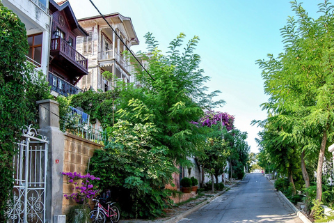 Ab Istanbul: Tagestour Prinzeninseln mit Mittagessen