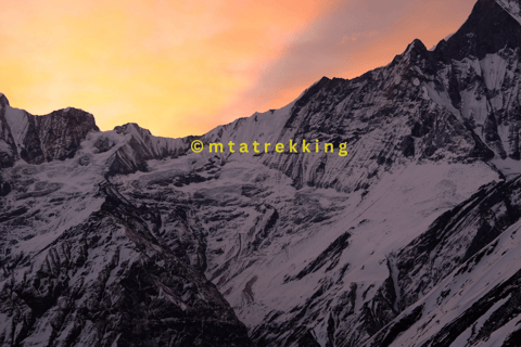 Kort Annapurna Base Camp Trek: 5 dagar från Pokhara: PokharaPrivat guidad vandring i Annapurna Basecamp utan måltider