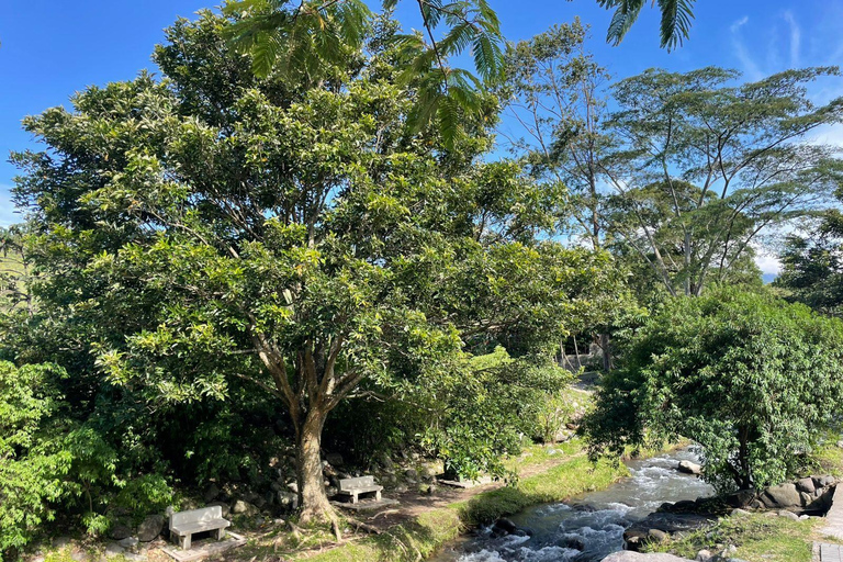 Boquete: Guided E-Bike Panoramic Tour