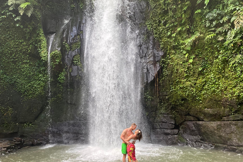 Monkey River, Ubud Market, Waterfall and Art Village Ubud Tour include Ticket