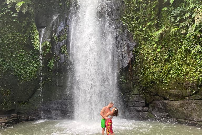 Monkey River, Ubud Market, Waterfall and Art Village Ubud Tour include Ticket