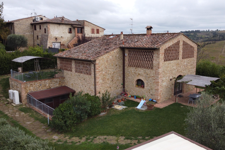San Gimignano: Vineyard and Cellar Tour with Wine Tasting