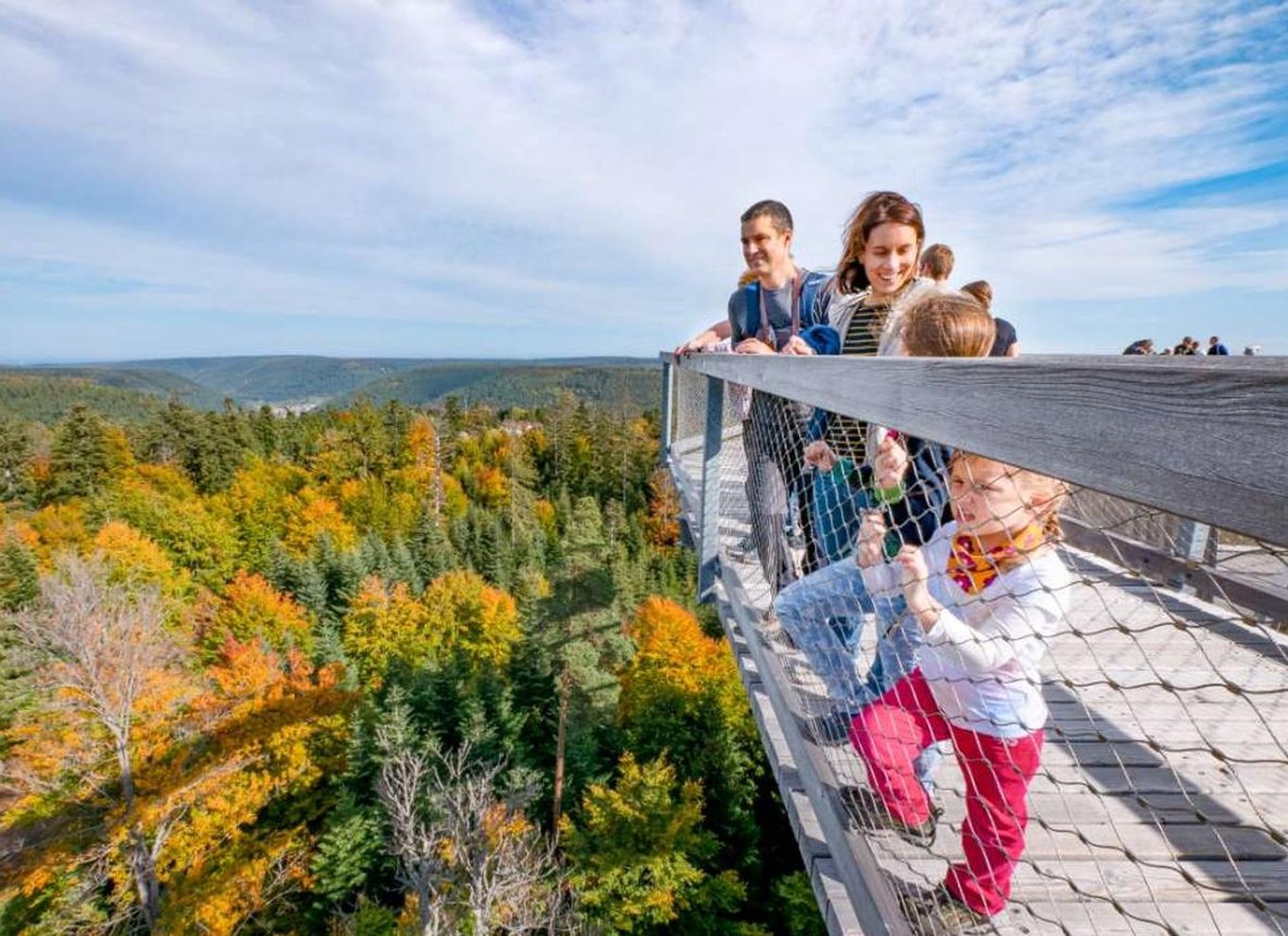 Schwarzwald: Treetop Walk & Lookout Tower Experience