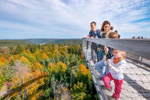 Czarny Las: Spacer w koronach drzew i wieża widokowa
